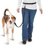 Dog walker wearing safety belt with dog leash and dog attached